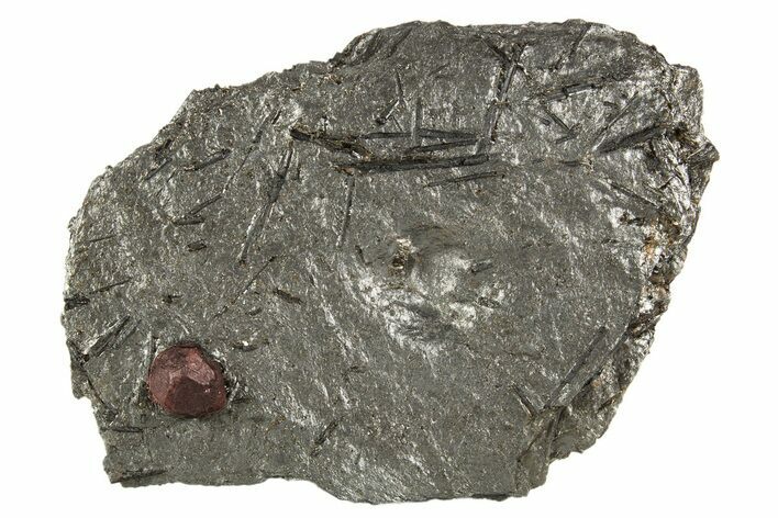 Red Embers Garnet in Graphite - Massachusetts #313629